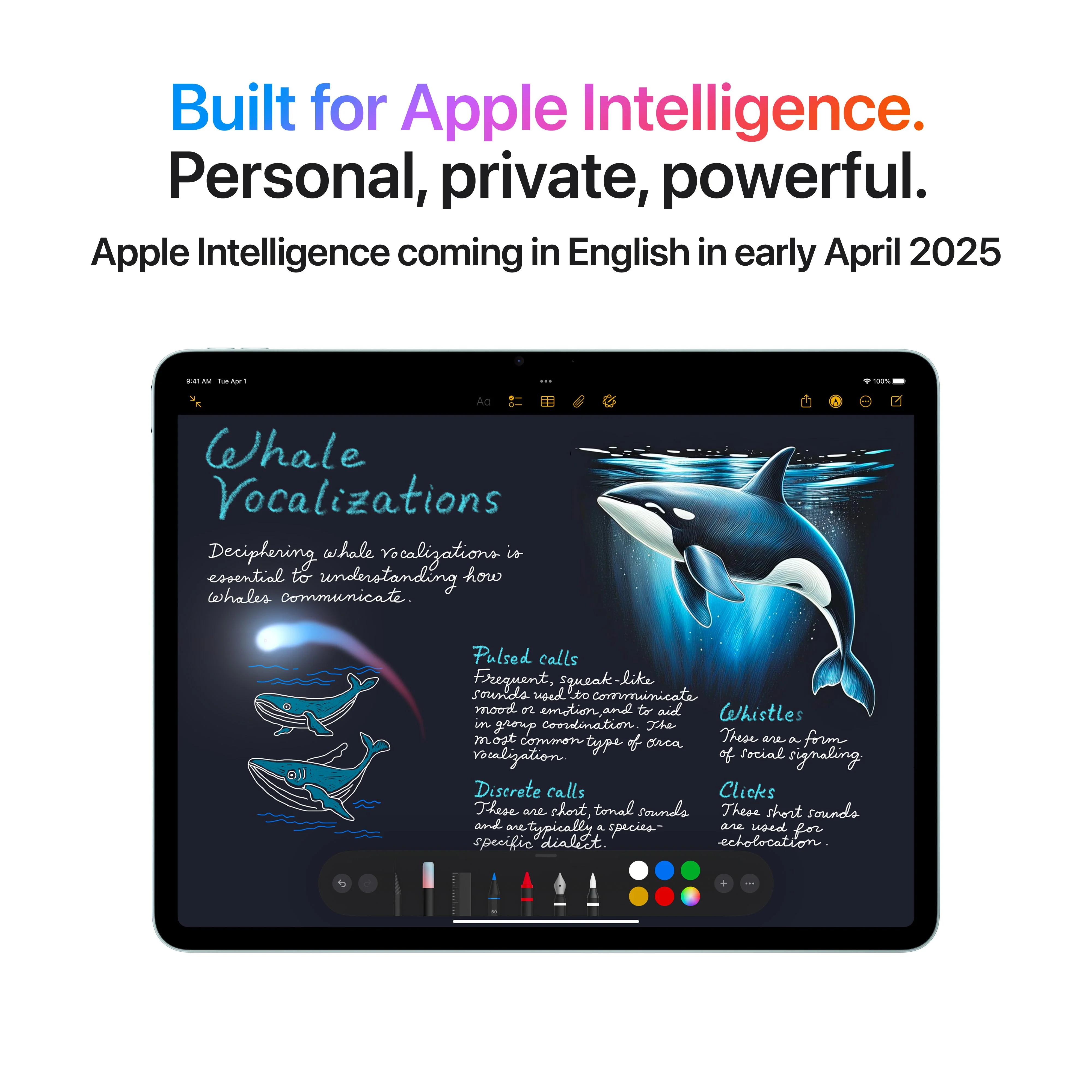 iPad Air 13-tommer Wi-Fi 256GB - Blå (M3) - Image 5