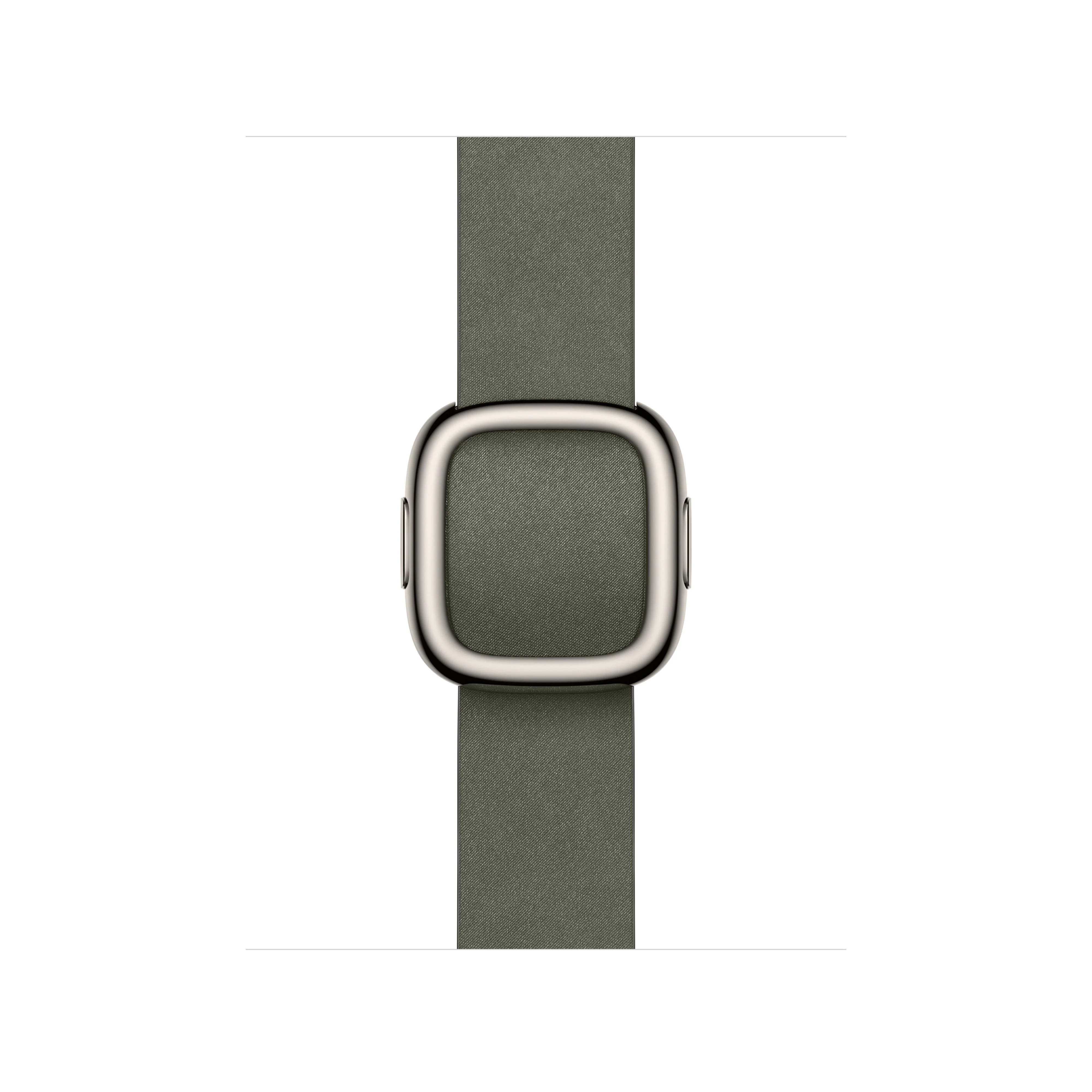 42/41 mm Sage Grey Modern Buckle - Large