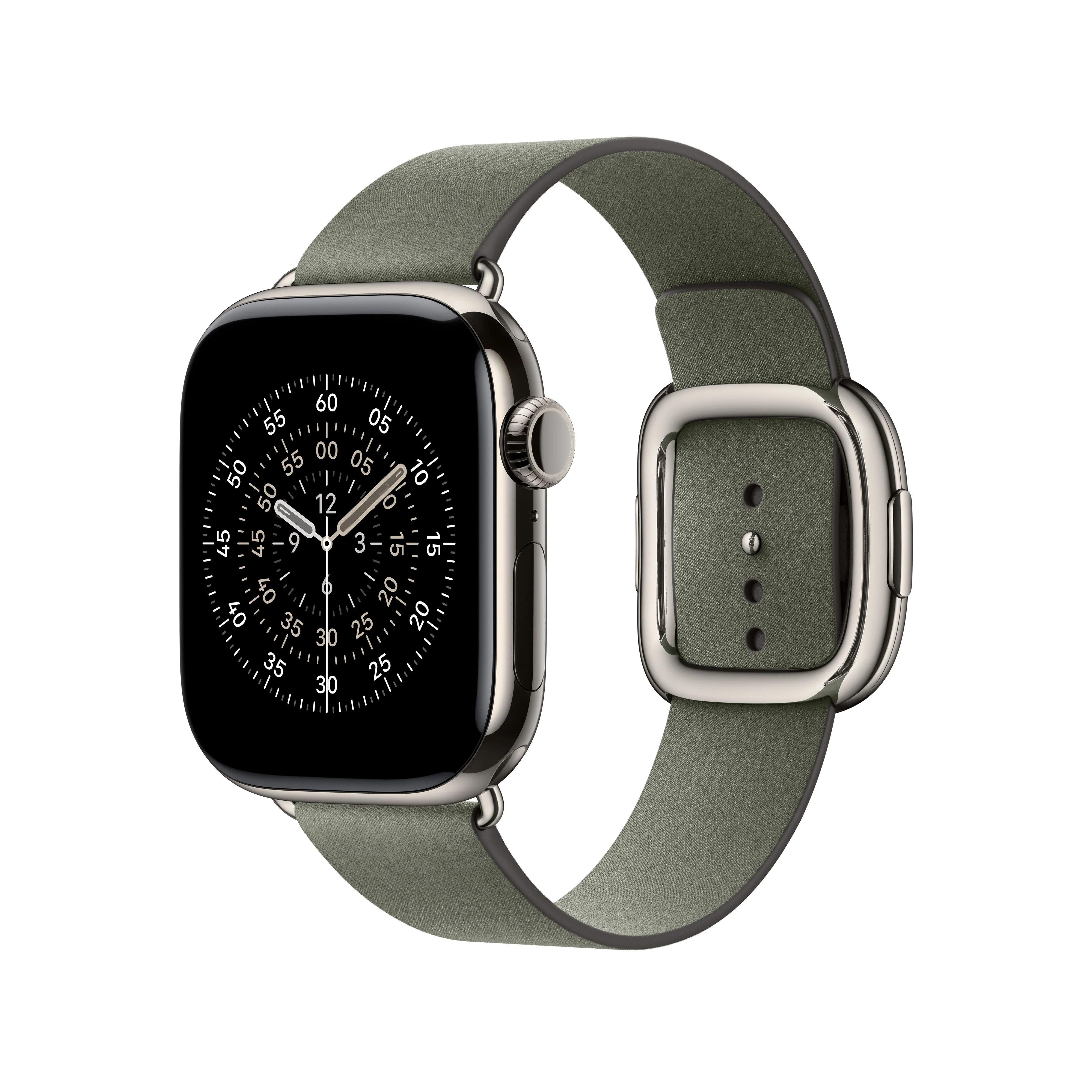 42/41 mm Sage Grey Modern Buckle - Large - Image 2
