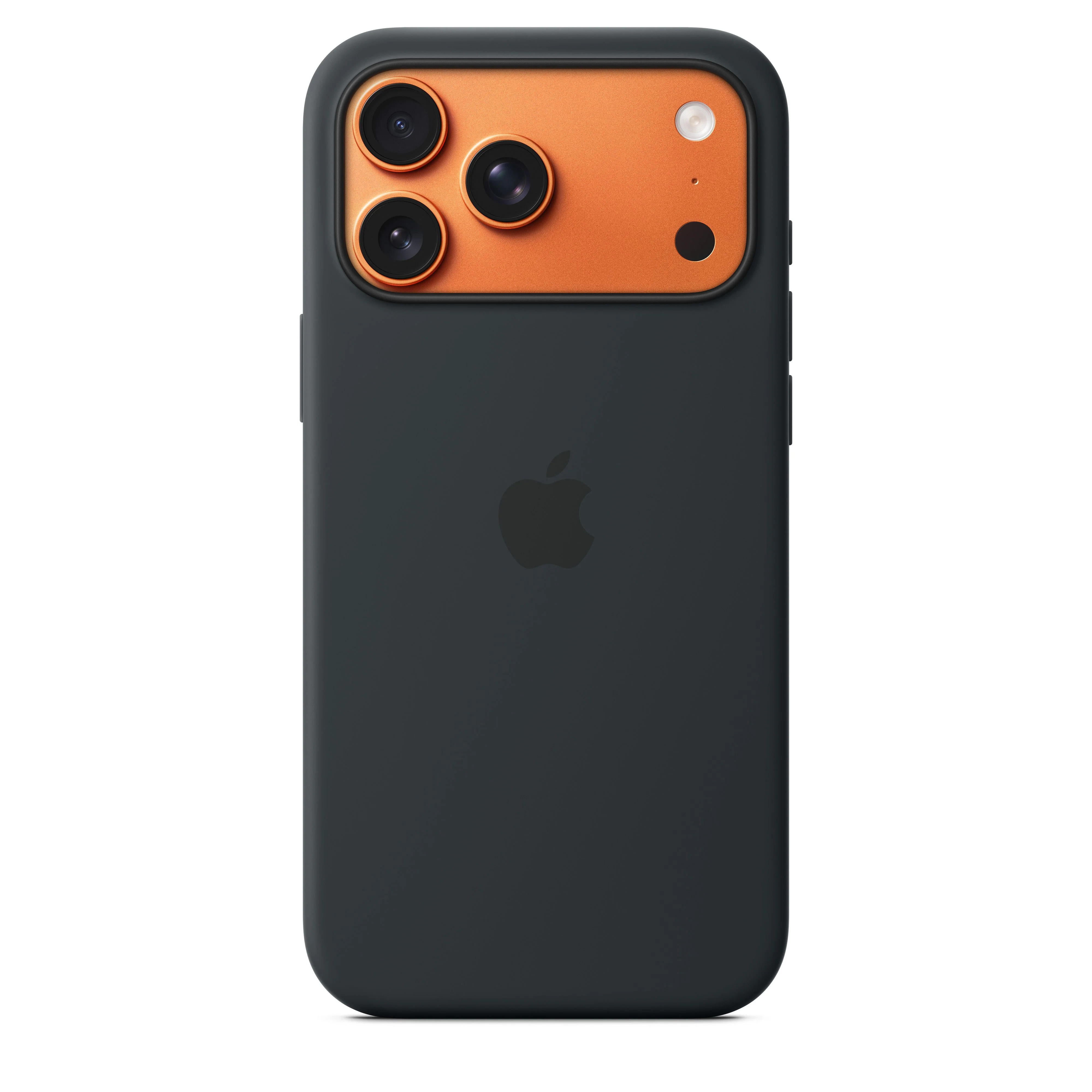 Miniatyr 1