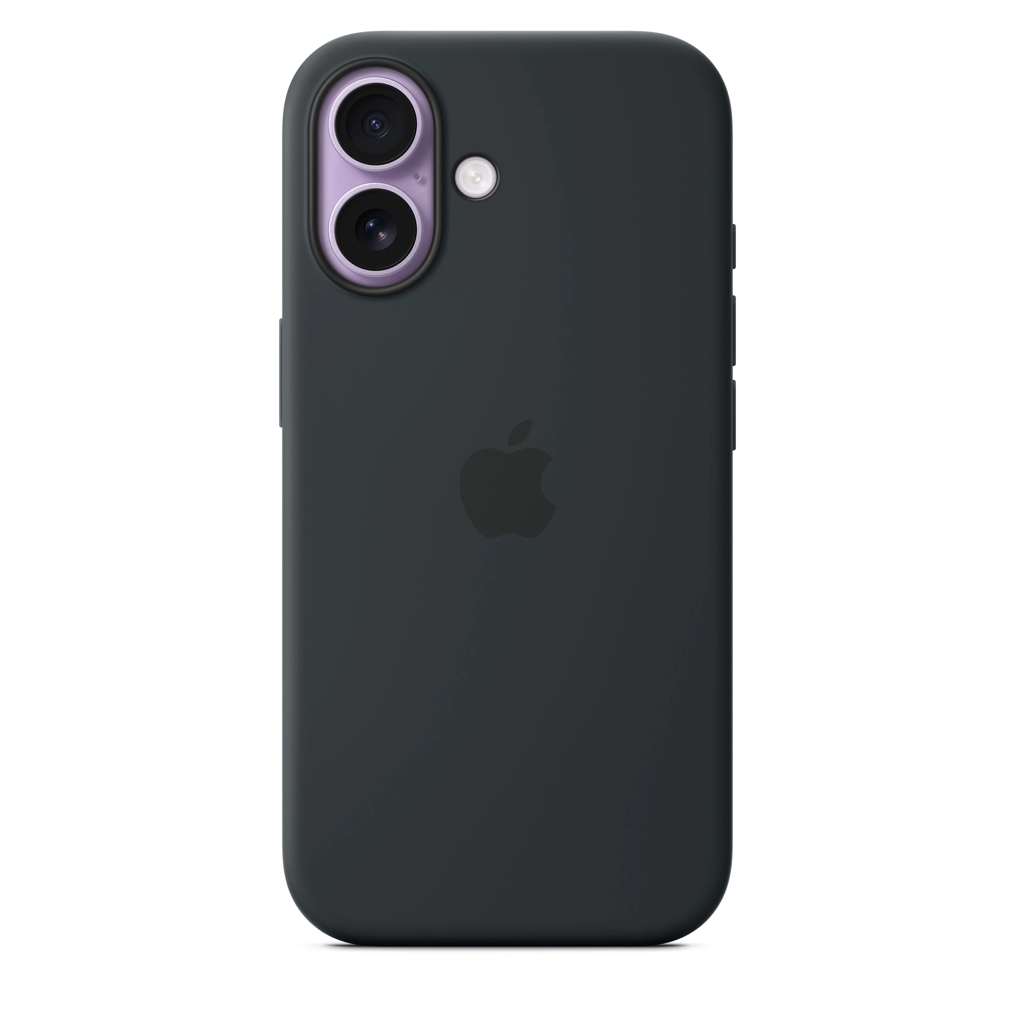 Miniatyr 1