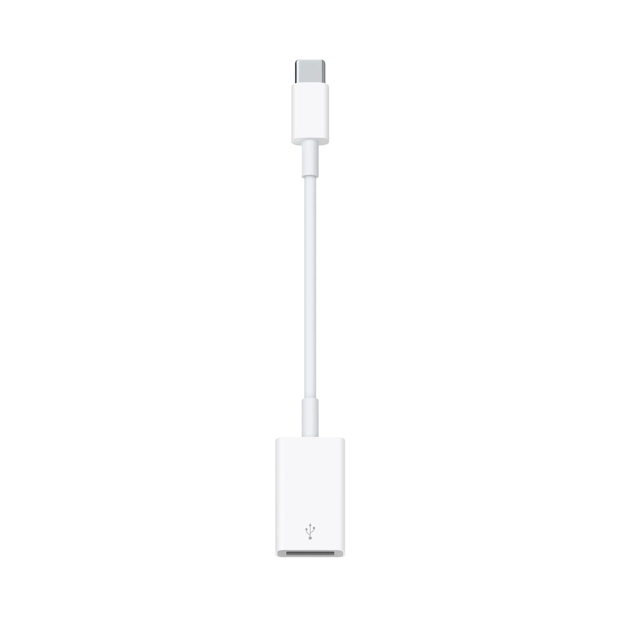 Miniatyr 1
